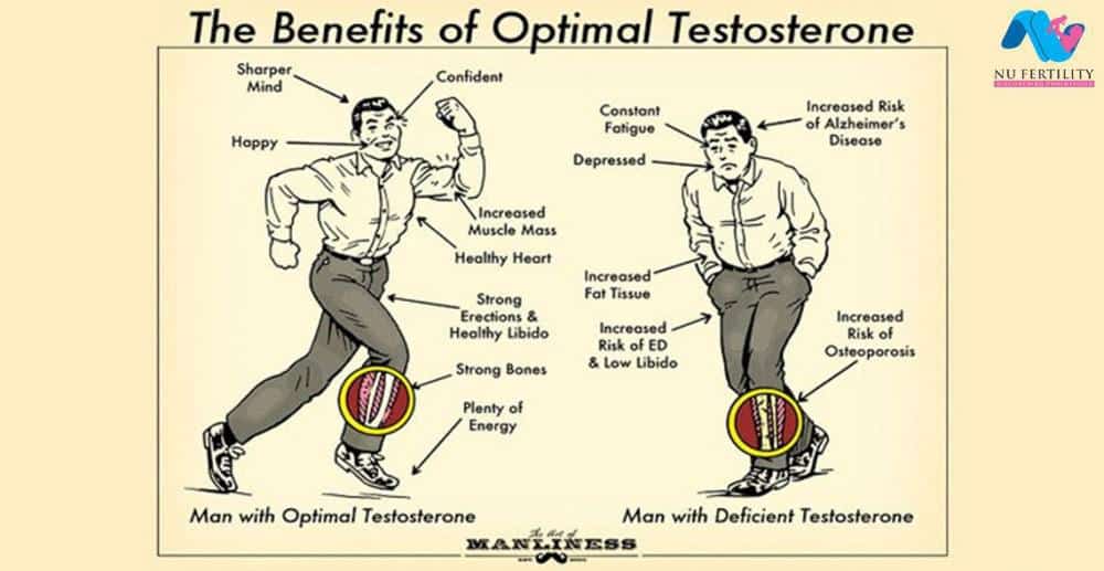 I Think I Might Have Low Testosterone. Now What? 6449ac27de964.jpeg